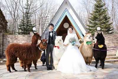 動物たちに囲まれた結婚式 ブログ ホテルエピナール那須 ウエディング